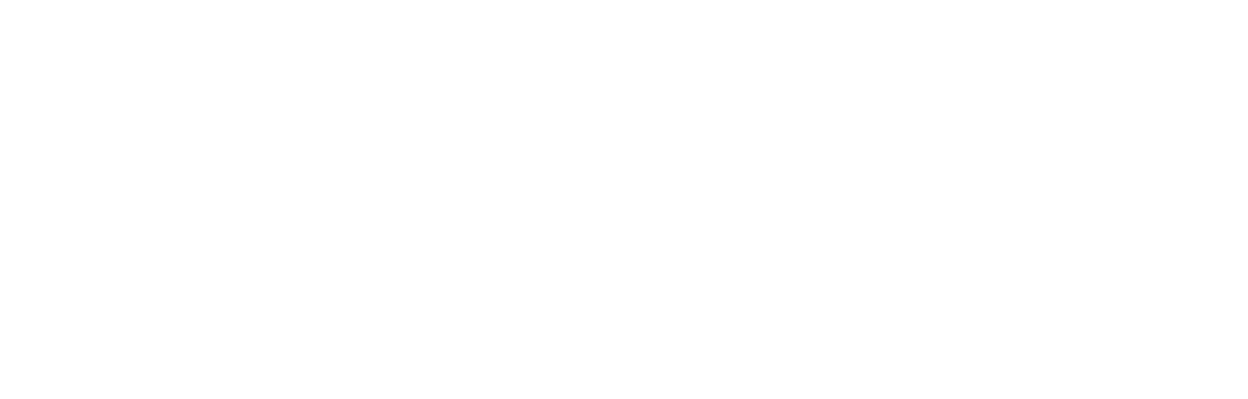 Insynch Logo White